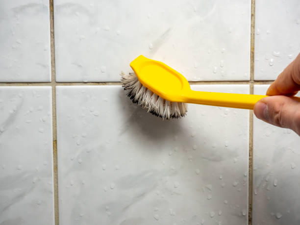 Best Home Mold Removal  in Silver Summit, UT