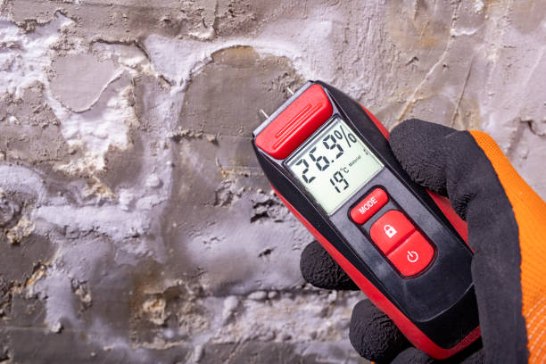 Best Toxic Mold Removal  in Silver Summit, UT